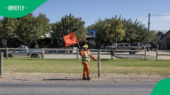 SANRAL opposes court bid by suspended employees over procurement allegations