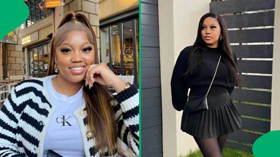 "Why I need a car": Dog mom books entire taxi to go to vet after e-hailing drivers refused service