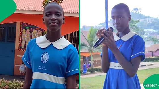 "Bless her heart": School learner’s Celine Dion rendition goes viral, moves South Africa