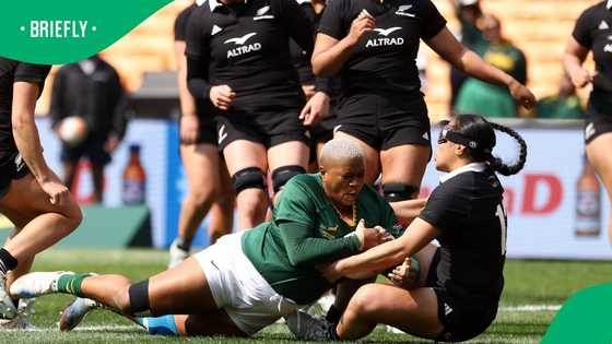 Black Ferns outclass Springbok women after Swys de Bruin’s abrupt resignation