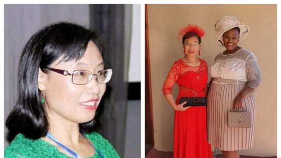 Xiaomei Havard's bio: Meet the South African, Chinese MP and member of ANC party