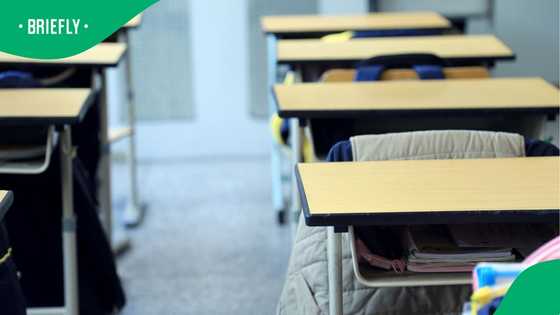 Placement delays at Hoërskool Akasia leave parents fuming as school admissions crisis deepens