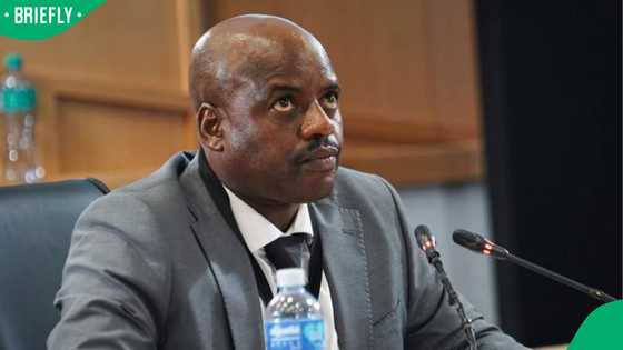 Julius Mkhwanazi implicated in R14.9 million precious stone theft at Madlanga Commission of Inquiry