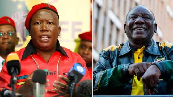 EFF leader Julius Malema says Cyril Ramaphosa “survived” ANC conference, leaving SA confused