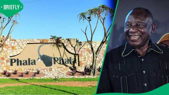 Phala Phala investigation finds at least R15 million stolen, more than Ramaphosa's R10 million claim
