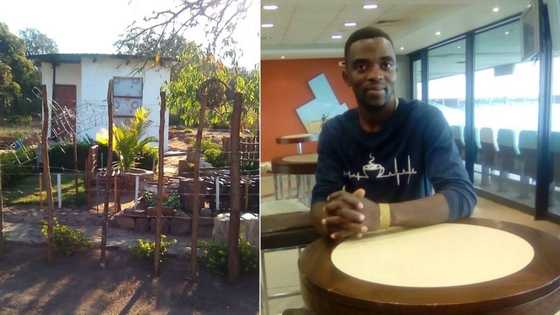 SA wowed as Limpopo artist shows off his humble home: “Even in the smallest ways you can make your dream life”