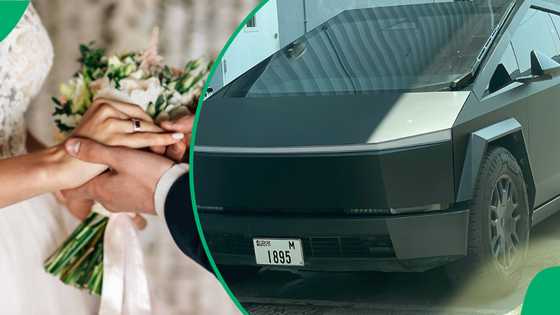 Swipe Right on the Bumper: Single Girl’s Guide to Bagging a Wealthy Hubby in Dubai