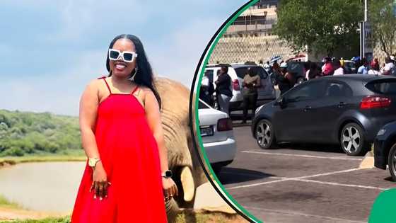 “It’s self-torture, honestly": SA stunned by Joburg people getting ready for Black Friday