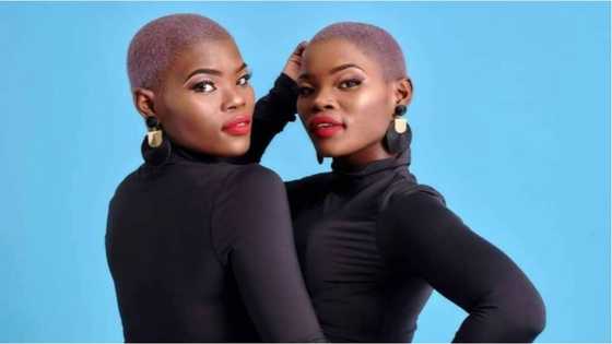 Level up: Qwabe twins glow up leaves Mzansi fans impressed