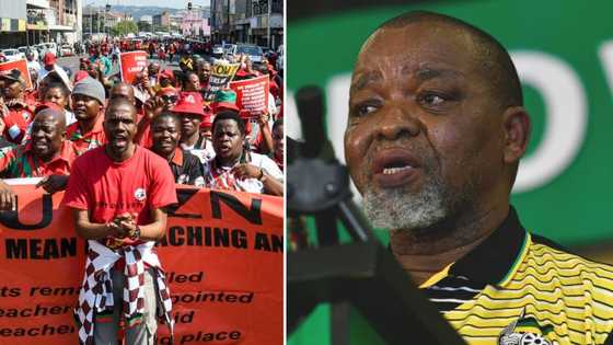 ANC forced to leave Cosatu conference, Gwede Mantashe slams delegates who “served divorce papers”