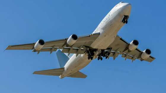 Argentine judge allows some crew of grounded Venezuela plane to depart