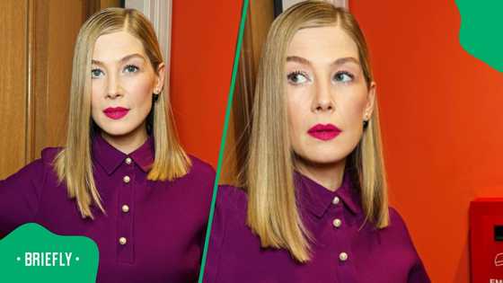 Rosamund Pike’s South African accent has fans screaming “brilliant!”