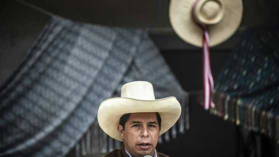 Peru's Castillo marks one year in power in crosshairs of Congress, prosecutors