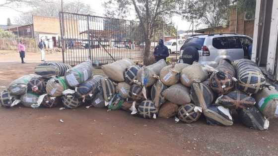 Truck carrying R3 million worth of cannabis intercepted by police in KZN, 2 arrested