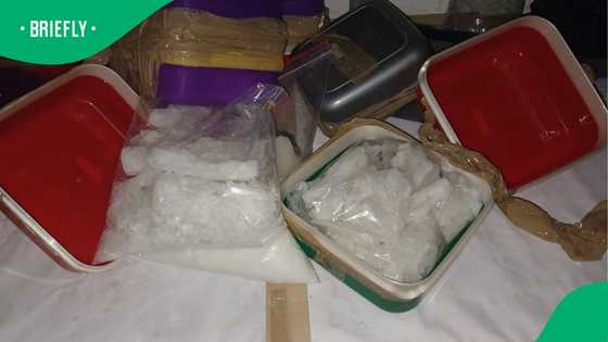 South Africans outraged as foreign nationals nabbed in R350M drug bust in Mpumalanga
