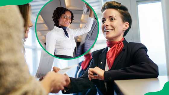 How to become a flight attendant in South Africa: A complete guide