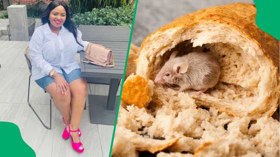 "That's a lawsuit": SA feels sick after customer shows rat chopped up in bread