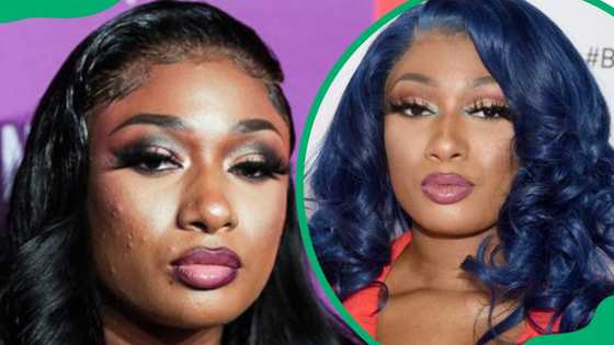 Megan Thee Stallion's height, songs, real name and partners