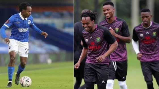 Mzansi reacts to Brighton & Hove Albion benching Percy Tau