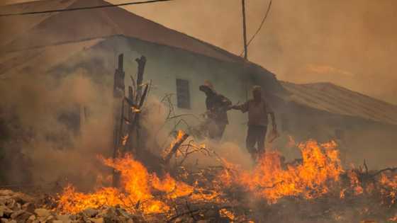 One dead as Morocco forest fires rage