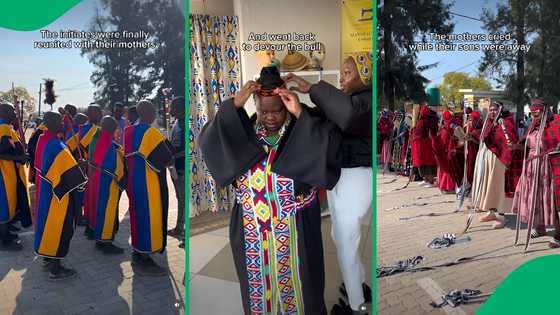 "Such a wonderful culture": Popi Sibiya experiences a vibrant Ndebele umgidi celebration, SA wowed