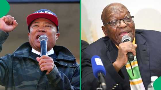 Jacob Zuma will die an ANC member, says representative Tony Yengeni