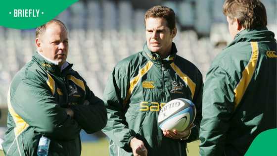 Former Springboks head coach set to land a new job overseas