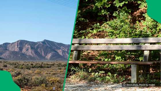 Man's R200k Rustenburg Park cleanup reminds South African of own attempts to improve parks