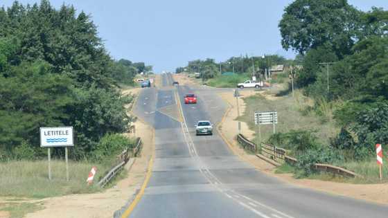 Limpopo man kills girlfriend and later commits suicide, SA horrified at gender-based violence