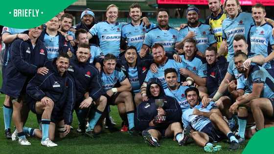 Brawl footage triggers Waratahs ban ahead of Super Rugby season