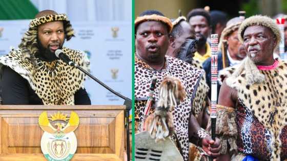 ANC KZN leader Siboniso Duma banned from Zulu Royal activities, Mzansi celebrates