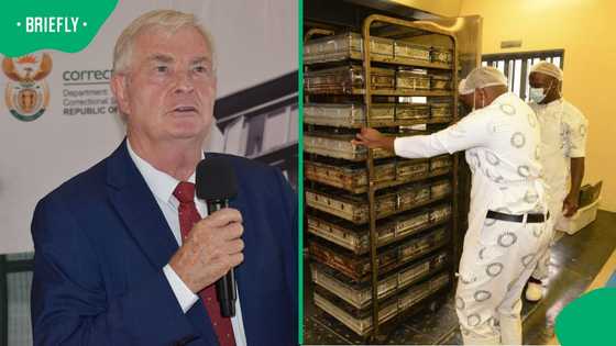 Groenewald plans to deport 28,000 foreign prisoners, saving SA R13.5 million daily
