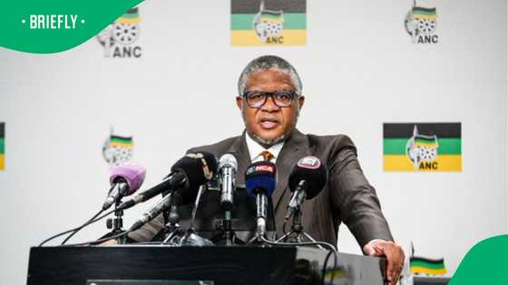 Fikile Mbalula wants SAFA to take action against Teboho Mokoena over EFF remarks