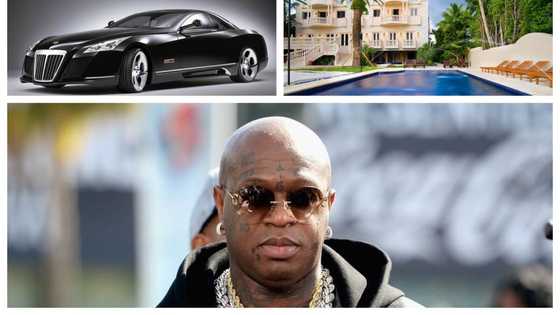 Where did Birdman net worth come from?