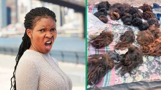 Woman gives away old wigs on Facebook, South Africans amused by the scruffy hair's questionable quality