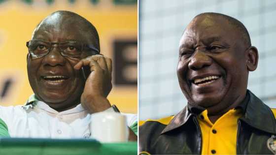 SA weighs in on KZN ANC’s stance on backing Ramaphosa after former leaders openly bashed him