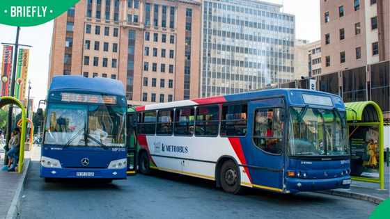 "This country is falling apart": Mzansi furious as Joburg Metrobus slashes off-peak routes from June