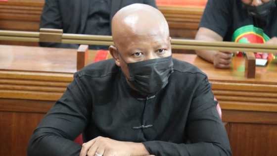 EFF leader Julius Malema drops a bombshell amid High Court testimony: "I'm not scared of killing"