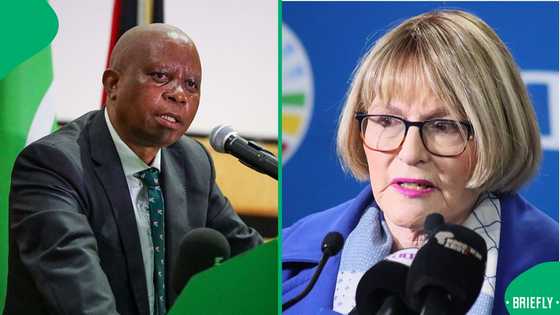 ActionSA leader Herman Mashaba retracts old post about Helen Zille: "I was deceived"