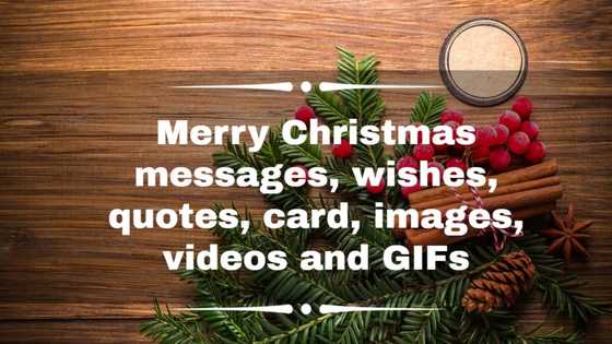 Outstanding Merry Christmas messages, wishes, quotes, card, images, videos, GIFs