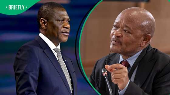 Paul Mashatile denies that Senzo Mchunu is being shielded, South Africans aren't convinced