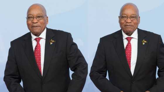 Zuma: Former president aiming to use loophole to get out of jail