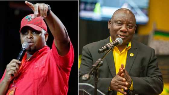 EFF's Floyd Shivambu throws punches at Ramaphosa and ANC: "Looks like you haven’t heard voters"