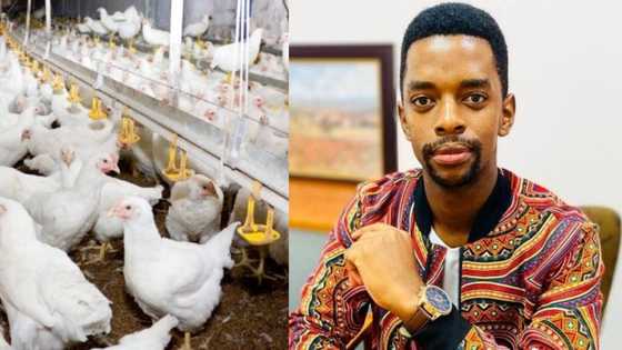 This is the future: Retrenched workers open their own successful farm