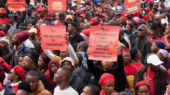 National shutdown: Joburg CBD residents vow to prevent looting, SA says: “Looting is an ANC thing”