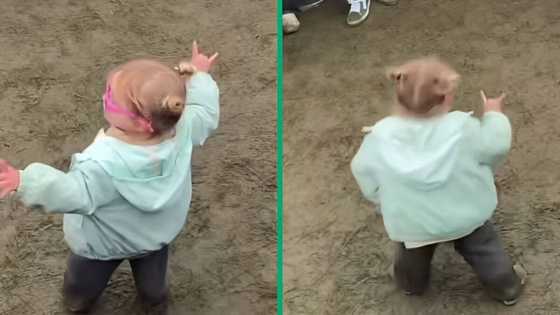 "The vibe is hitting": Little girl's incredible dance moves go viral on TikTok, peeps love it
