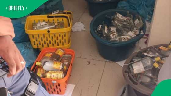 Five Malawians arrested in Durbanville for running illegal gin factory: Over 2,000 litres seized