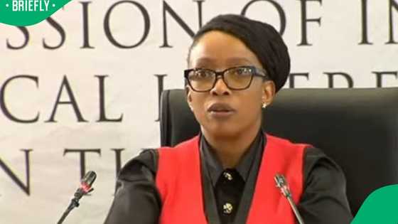 Madlanga Commission: IPID reveals new details in Witness D murder probe