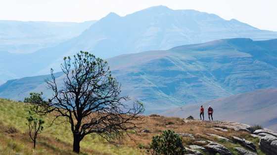 15 best hiking trails in South Africa