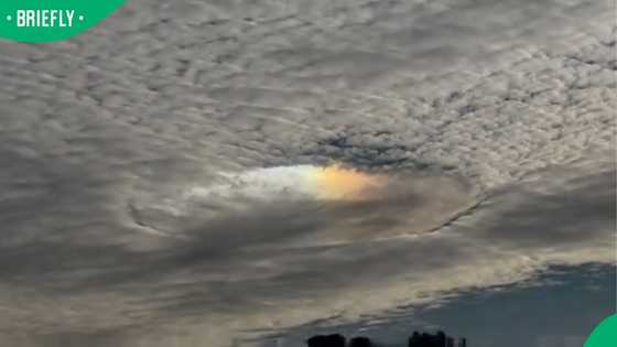 "Winter is so beautiful": TikTok video of eerie cloud formation over Mossel Bay leaves SA stunned